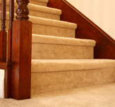 Metro Detroit Carpet Cleaning